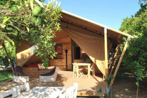 Campo Portakal Eco Glamping